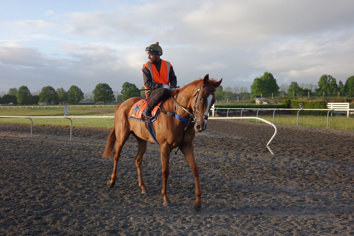 Te Akau Tuesday Trackwork