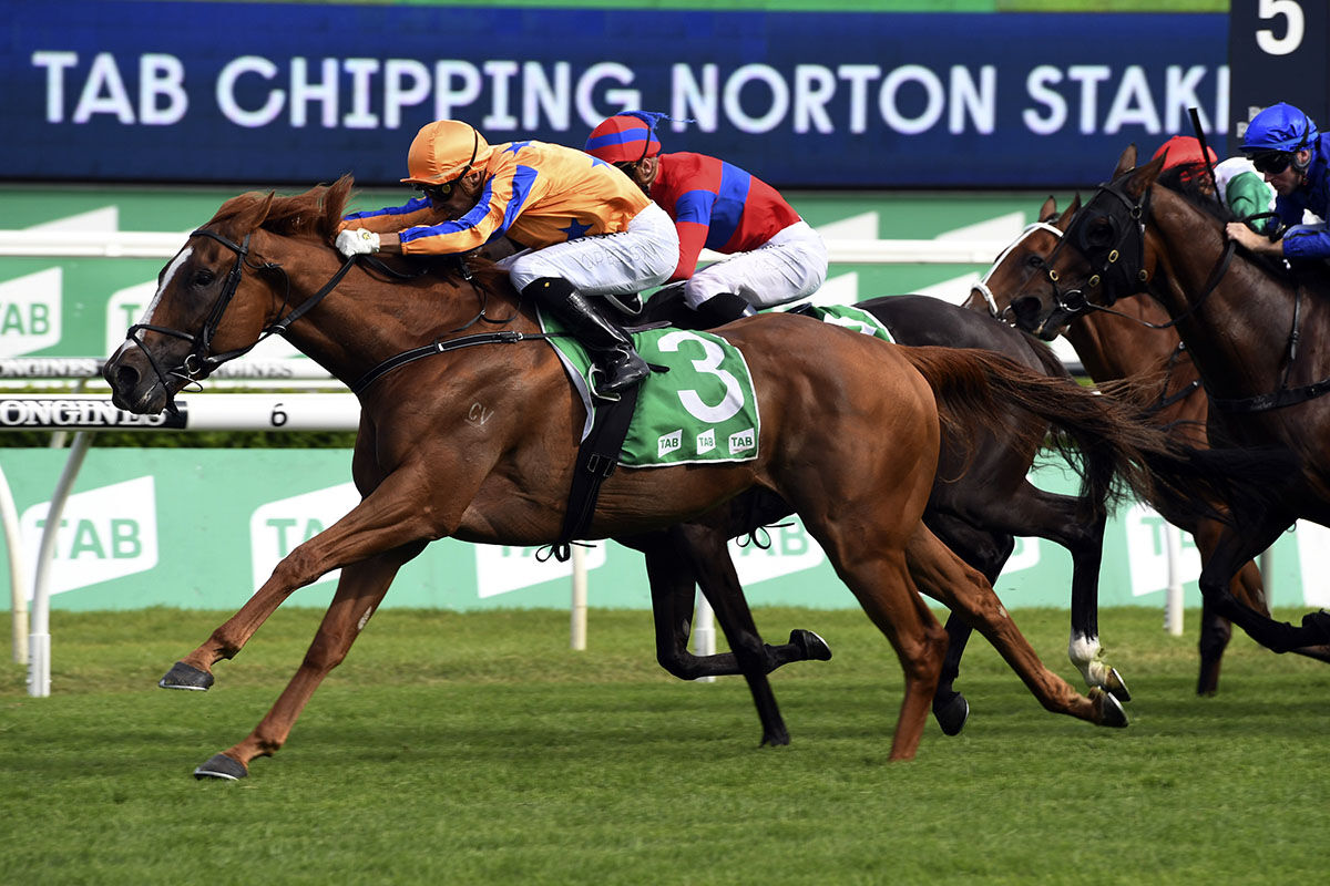 Bosson Goes the Extra Mile for Plum Sydney Rides