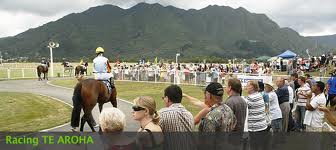 Te Akau NZ Te Aroha Preview