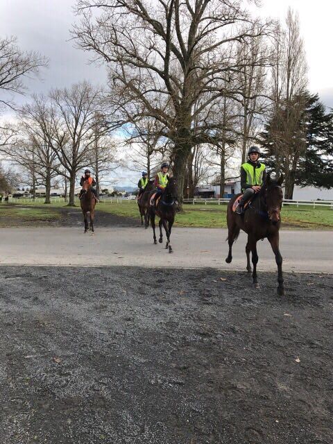 Te Akau Thursday Update