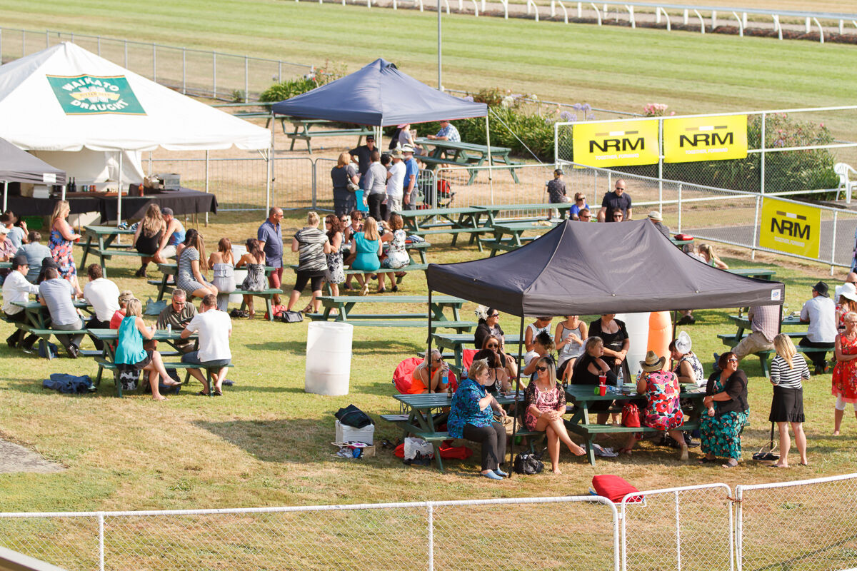 Te Akau Friday Update