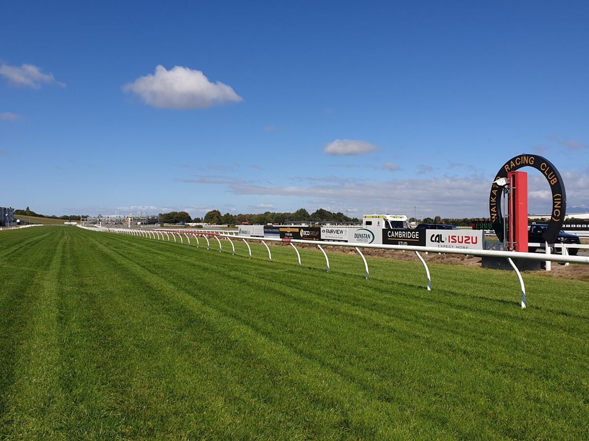 Te Akau Te Rapa Saturday Preview