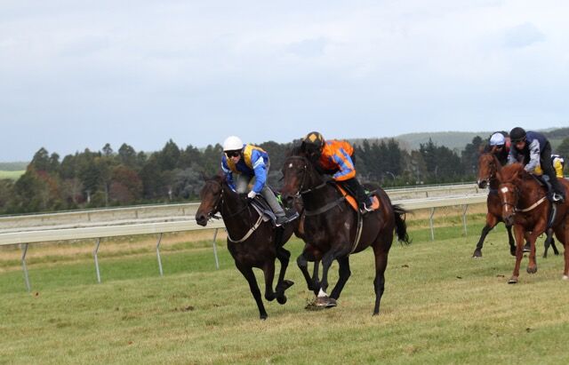 Te Akau Te Teko Trials' Report