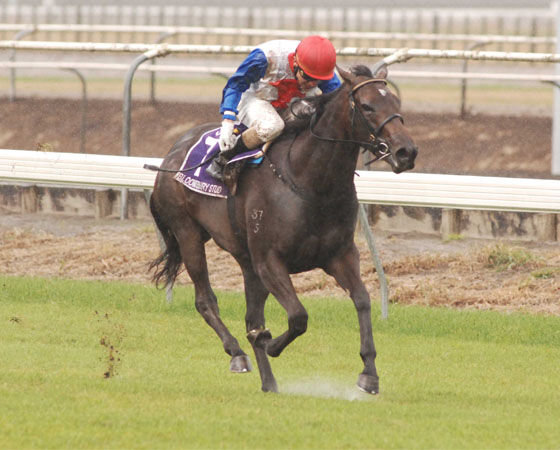 Te Akau Coup