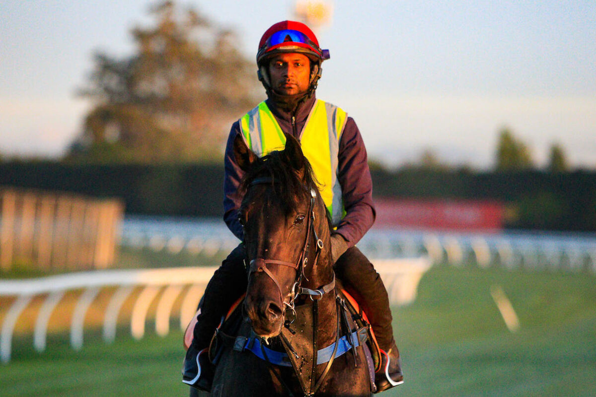 Te Akau Weekend Trackwork