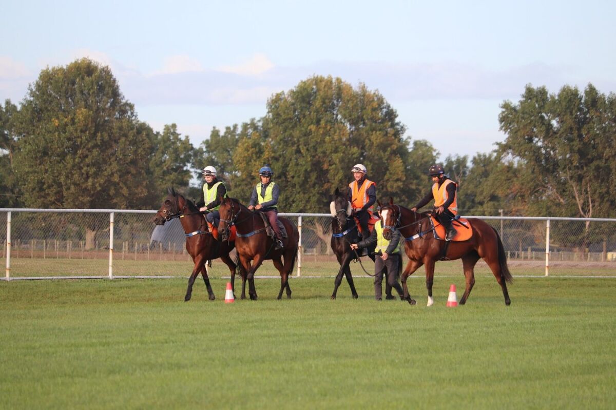 Te Akau Thursday Trackwork