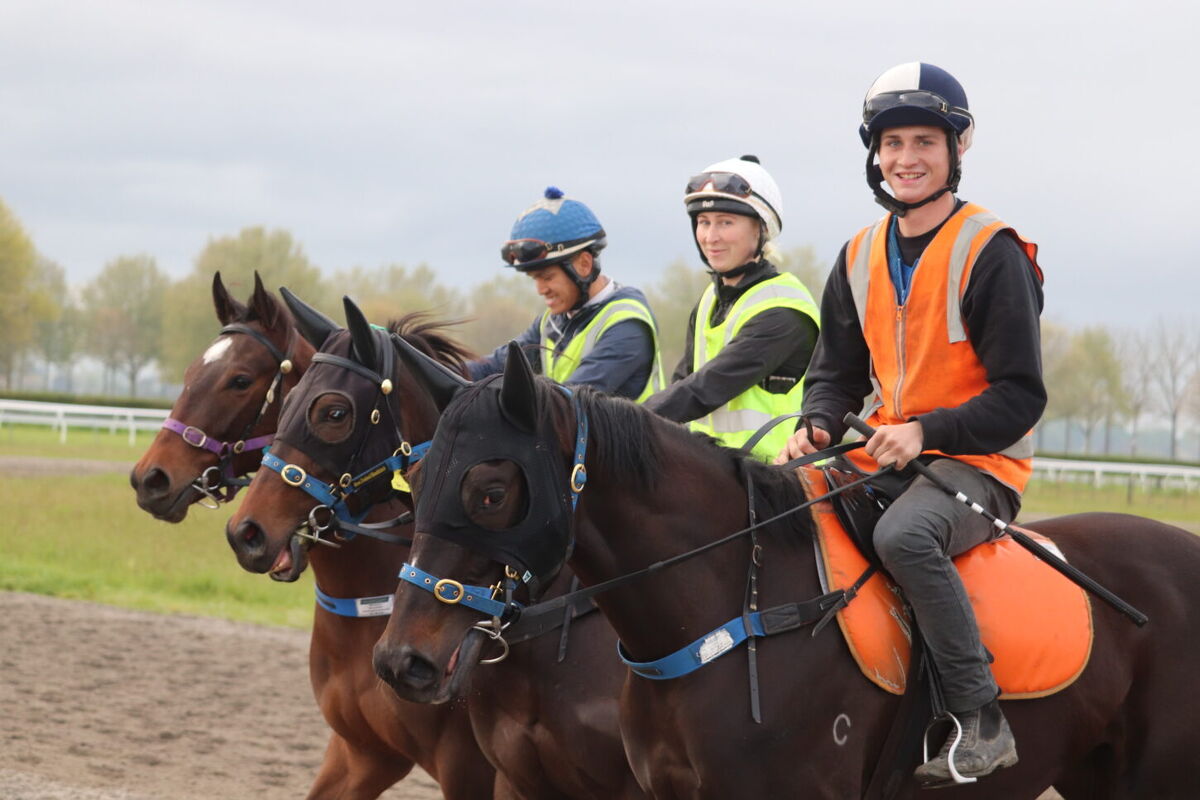 Te Akau NZ Tuesday Trackwork