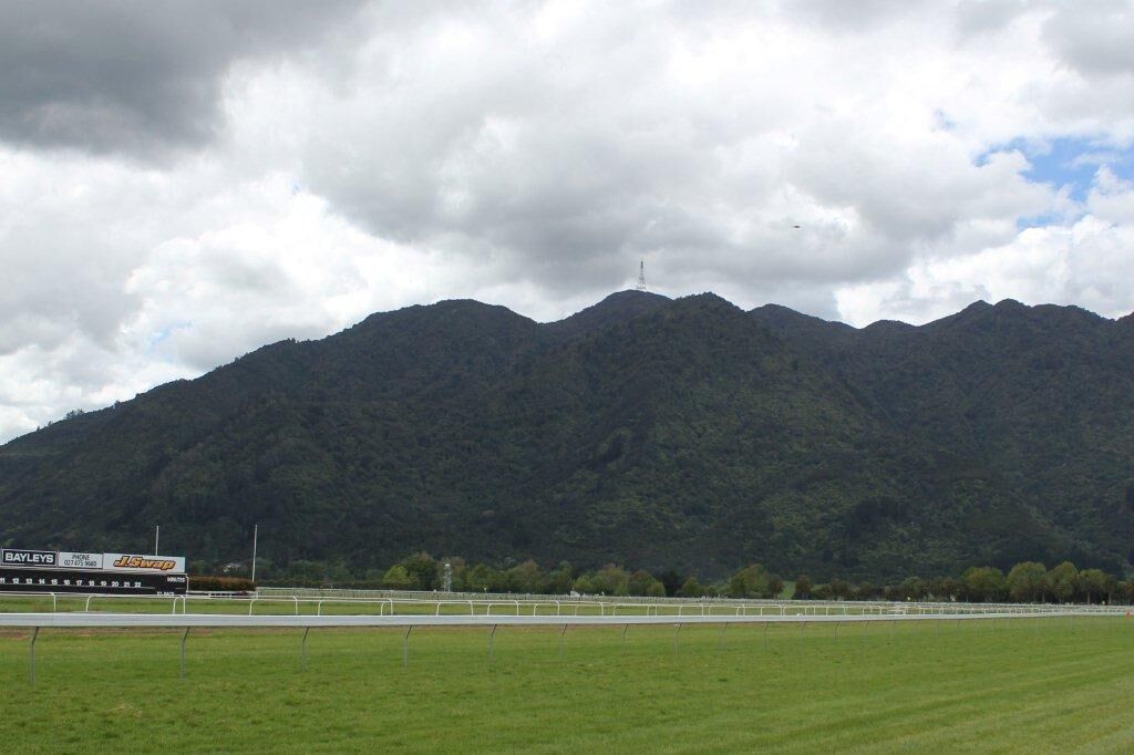 Te Akau Te Aroha Wednesday Preview