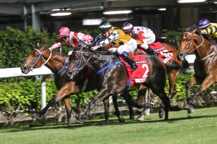 Special Hong Kong Win for Te Akau