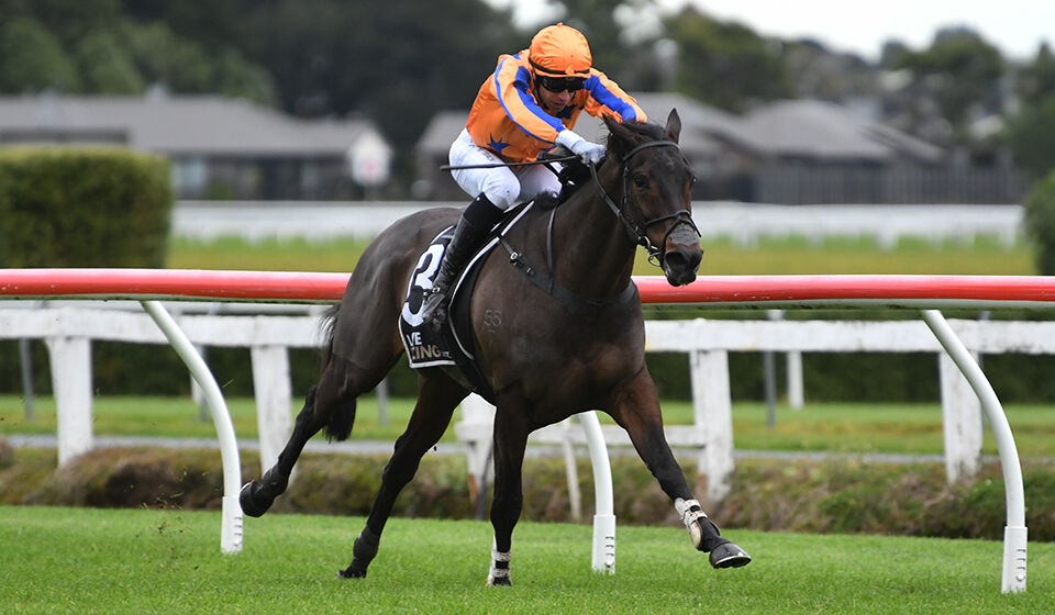 A Spar-kling Hurdle Win
