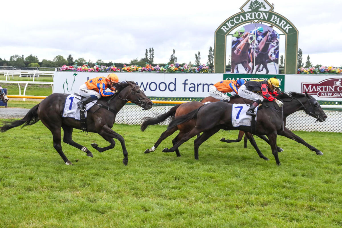 Te Akau TV Saturday Preview