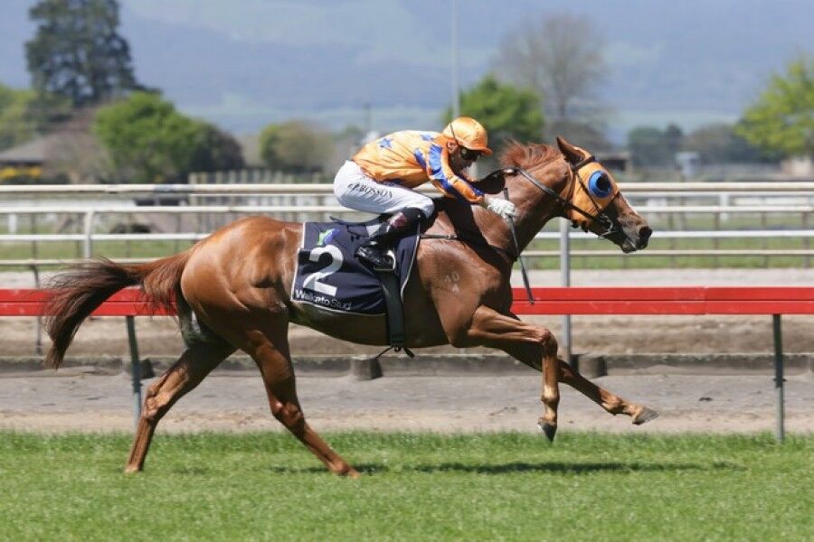 Te Akau Duo's Ellerslie Gallops