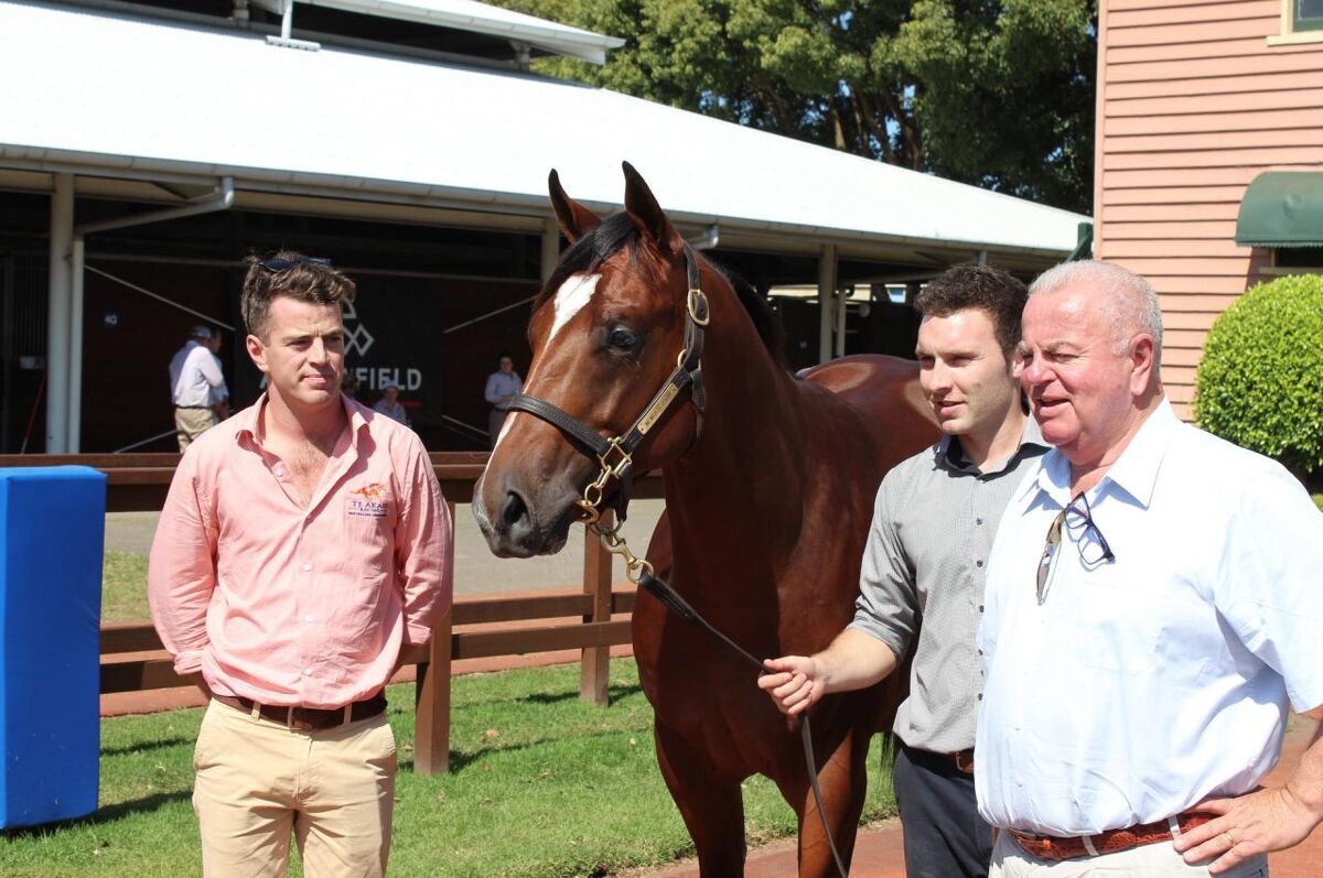 Te Akau Sydney Yearlings Video Update