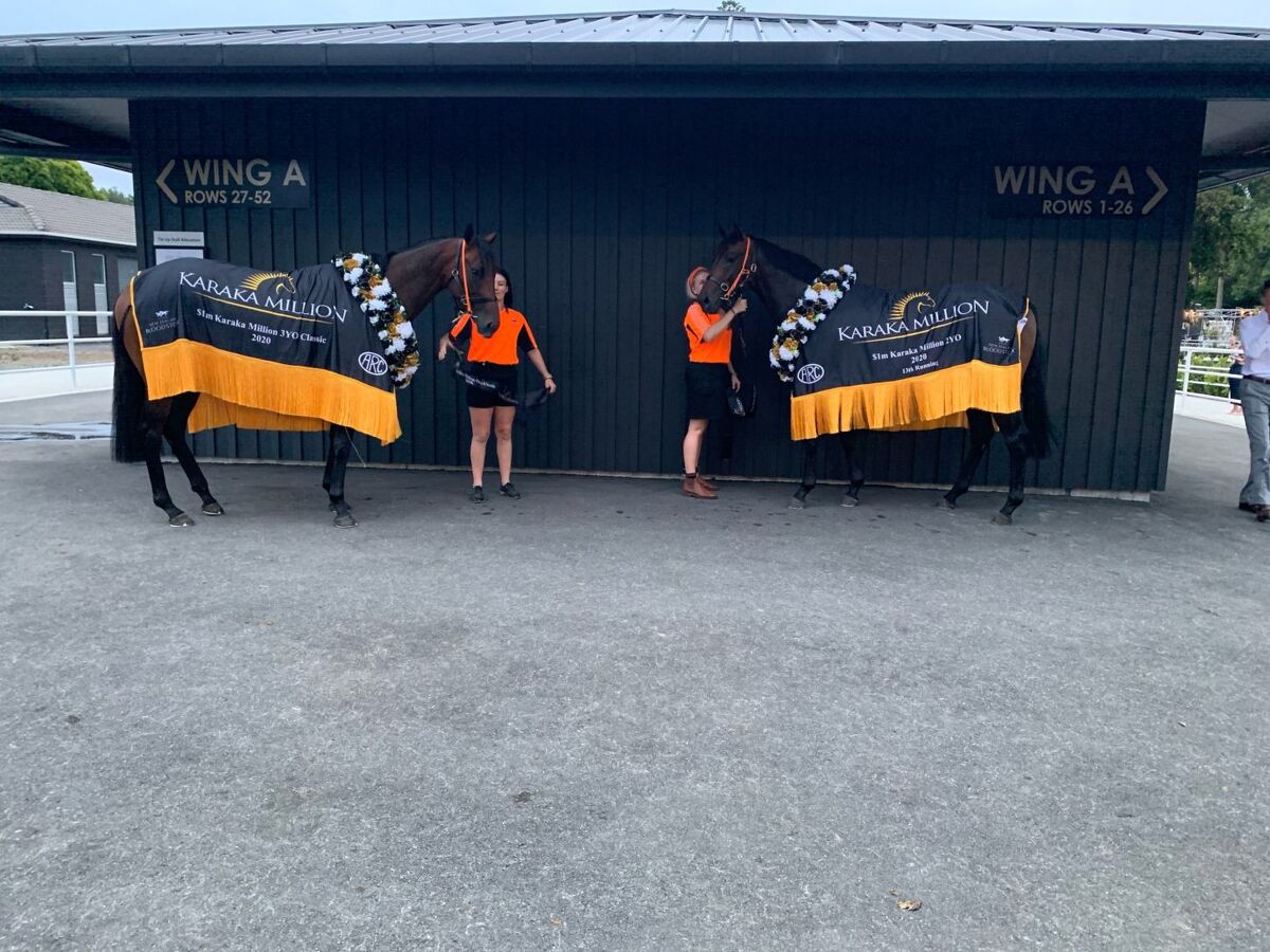 The Kiwi Winning Streak that Defies Belief