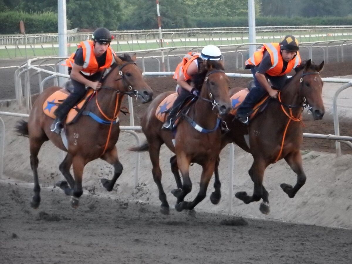 Te Akau Tuesday Trackwork