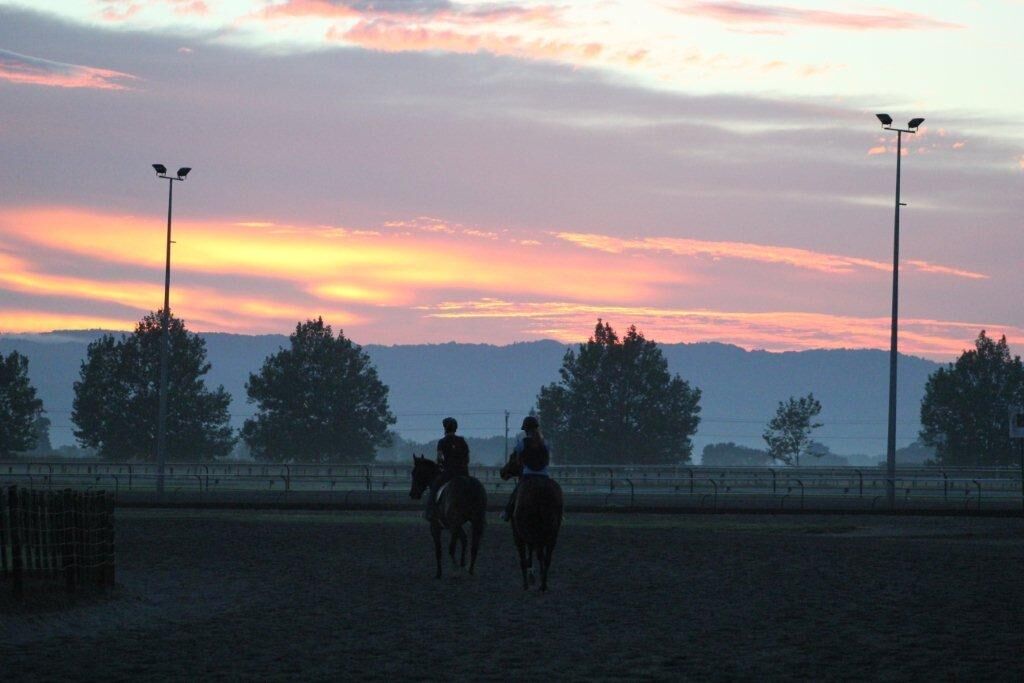 Te Akau Trackwork Update