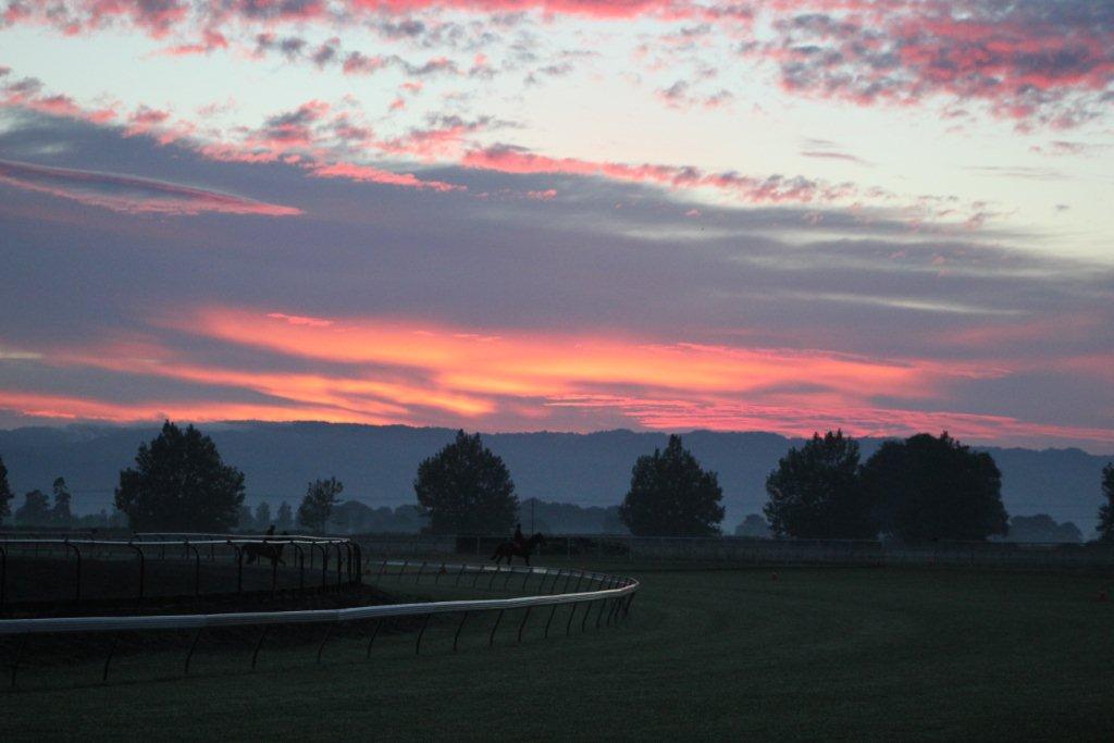 Te Akau Friday Trackwork