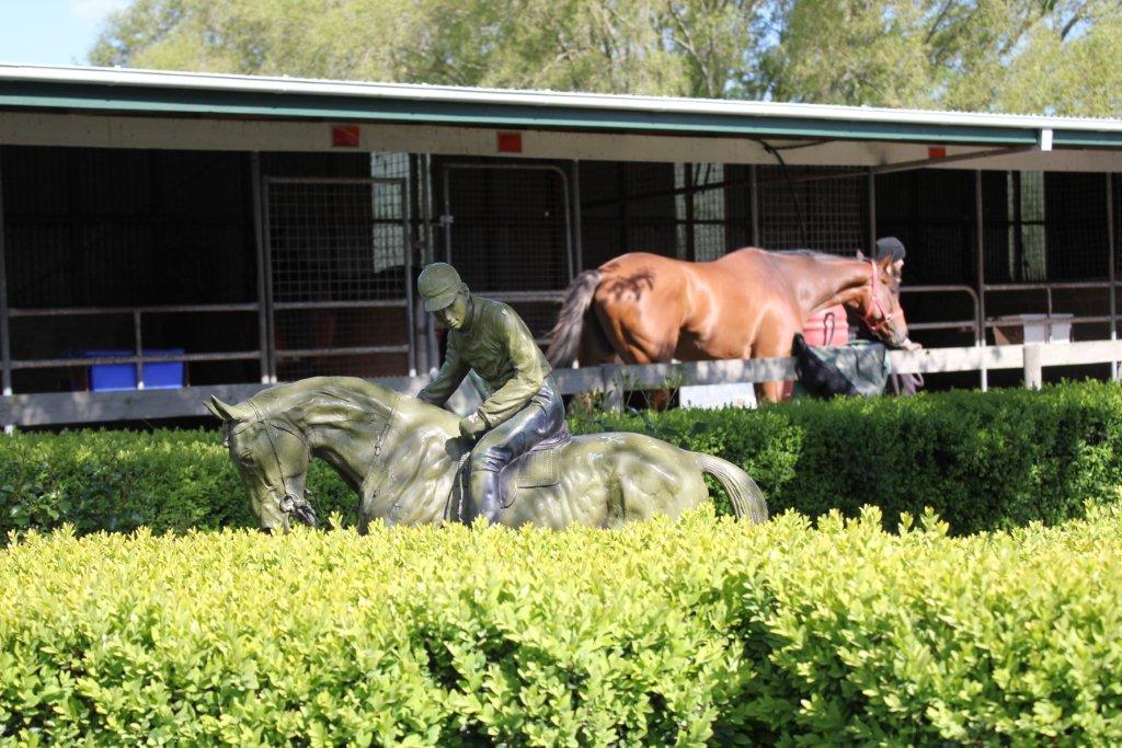 Te Akau Tuesday Trackwork