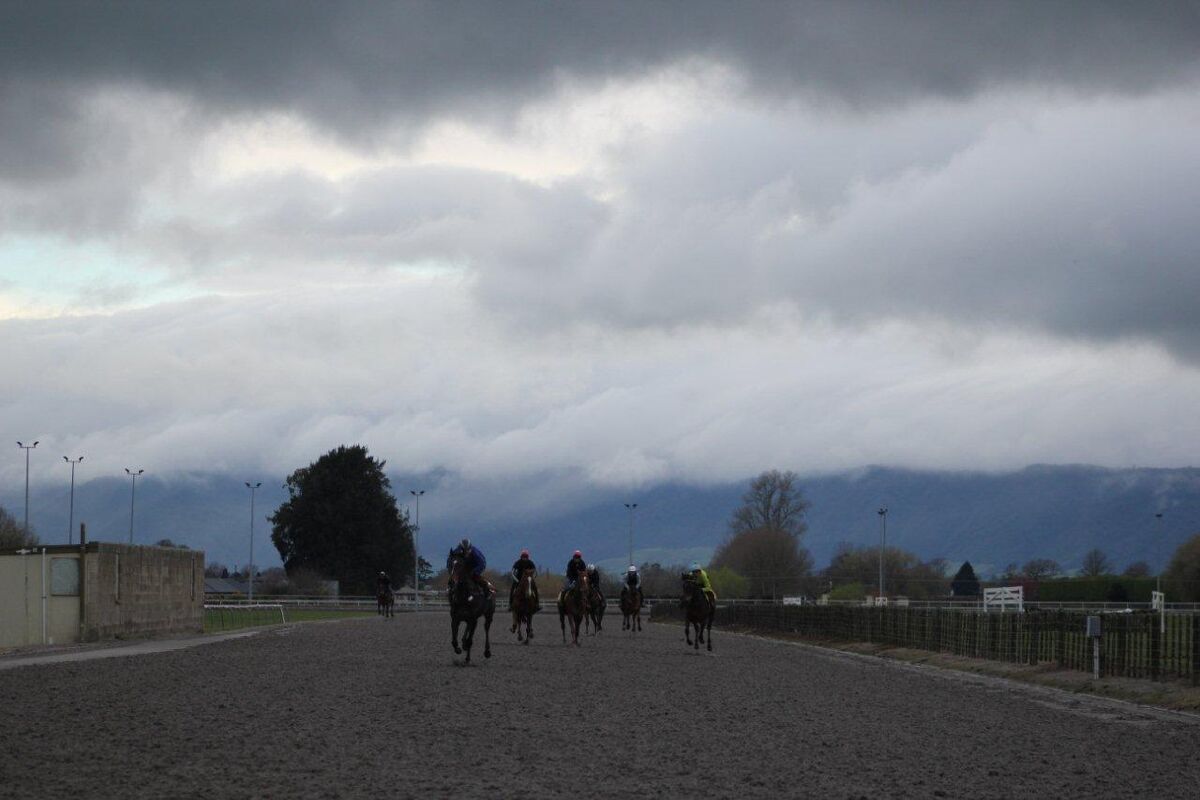 Te Akau Thursday Trackwork