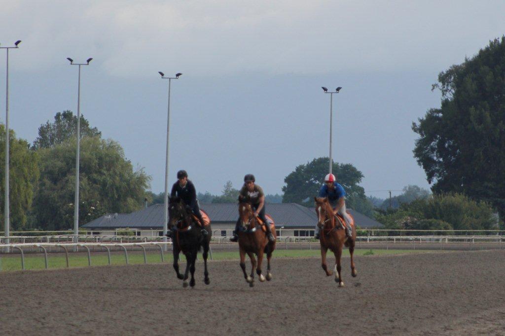 Te Akau Thursday Trackwork