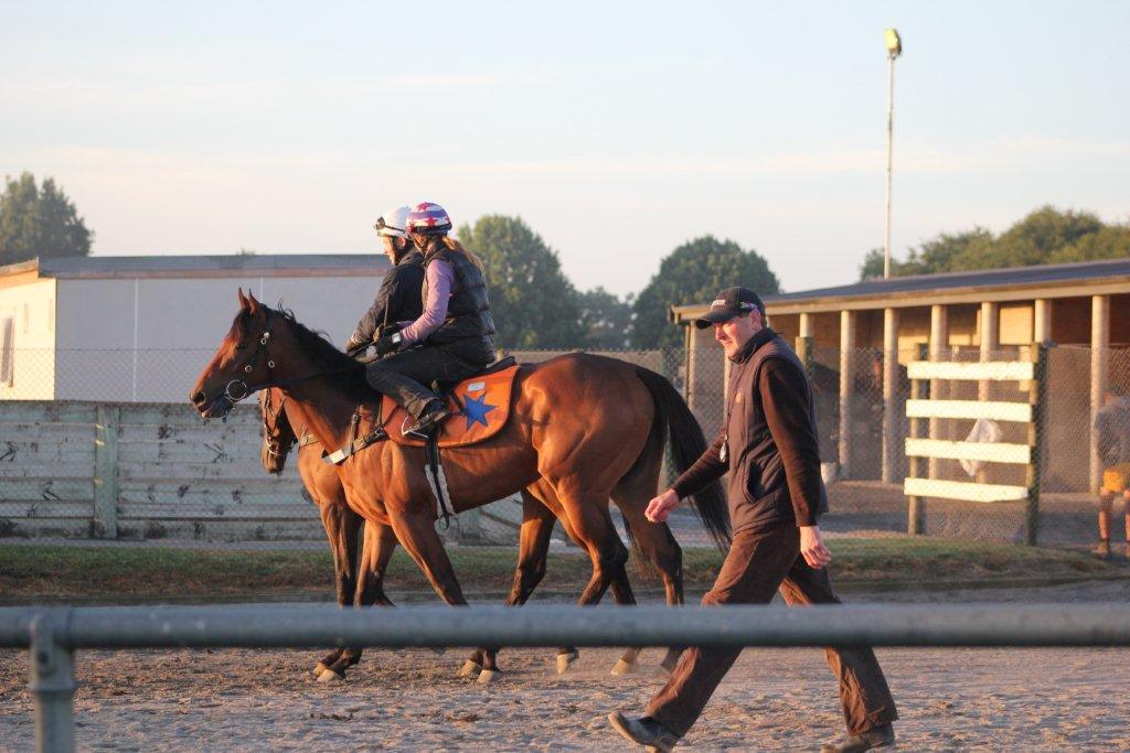 Te Akau Saturday Trackwork