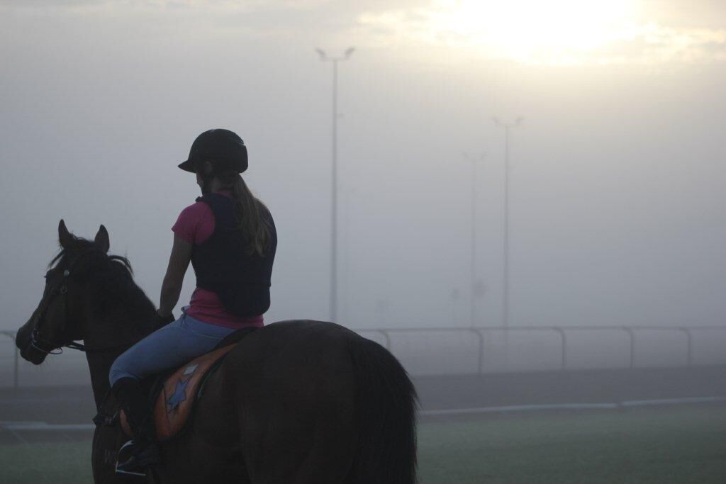 Matamata Tuesday Trackwork