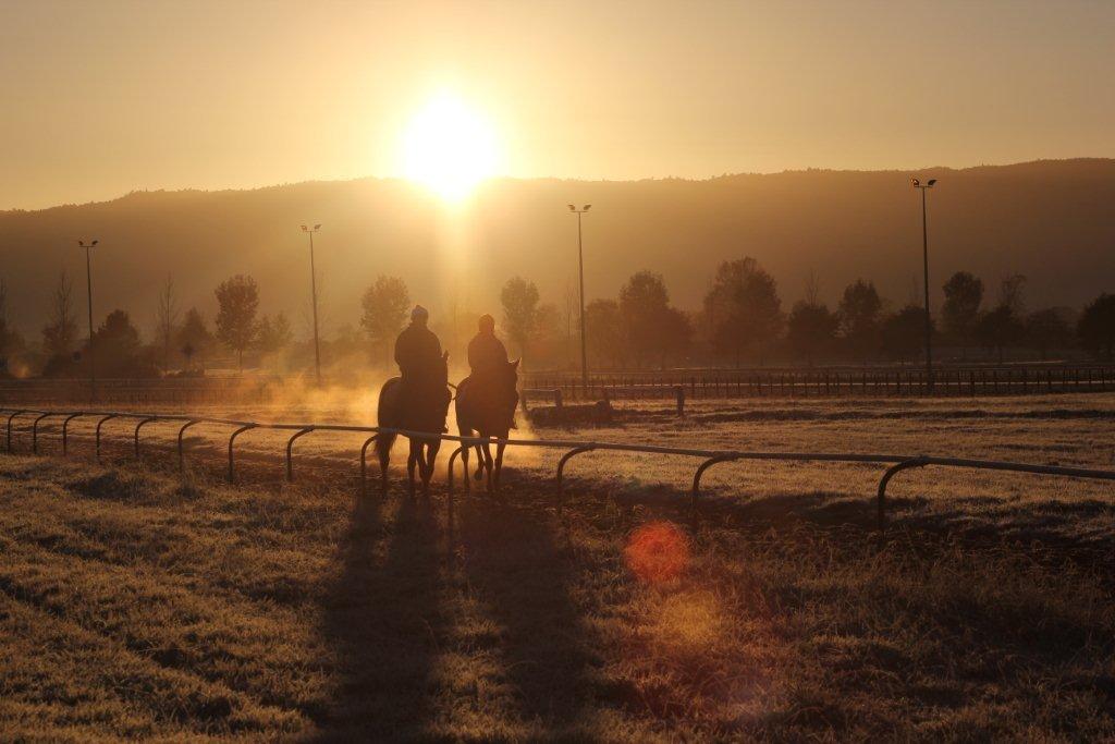 Te Akau Tuesday Trackwork