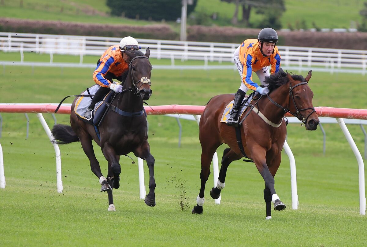 Te Akau On Exhibition