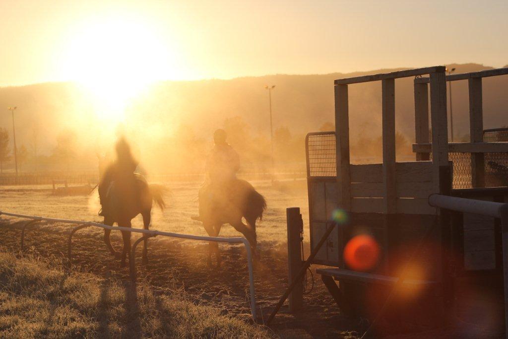 Te Akau Tuesday Trackwork