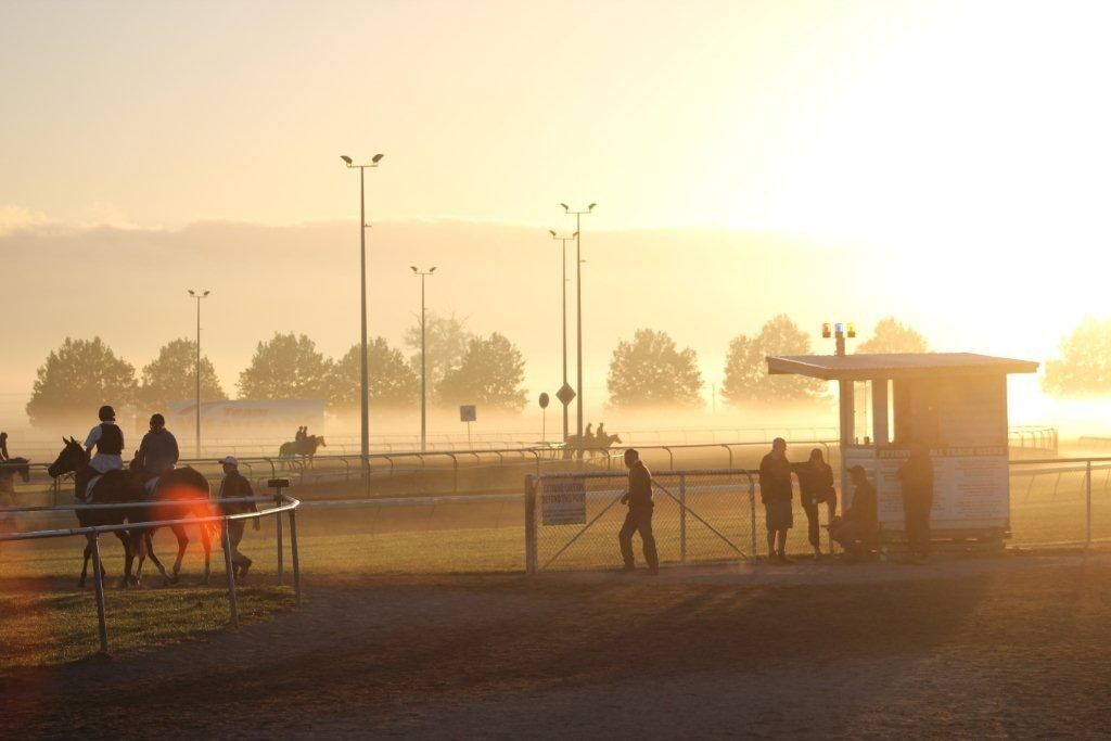 Matamata Saturday Trackwork