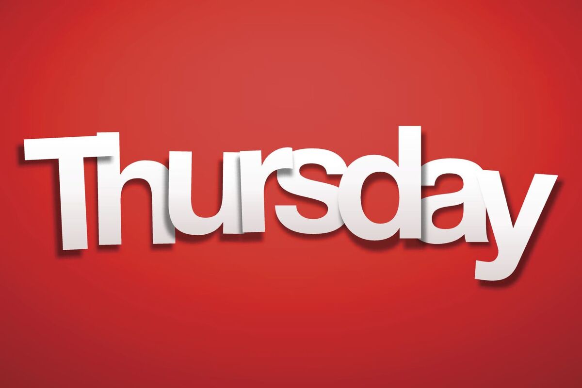 Te Akau Thursday Update