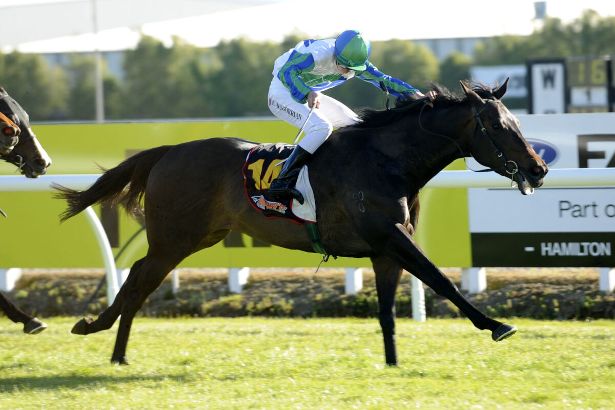 Te Akau Saturday Success - Part 3