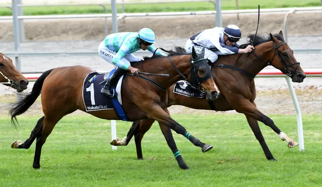 Time Tofly Racing Time Flies Flew | News - Te Akau Racing