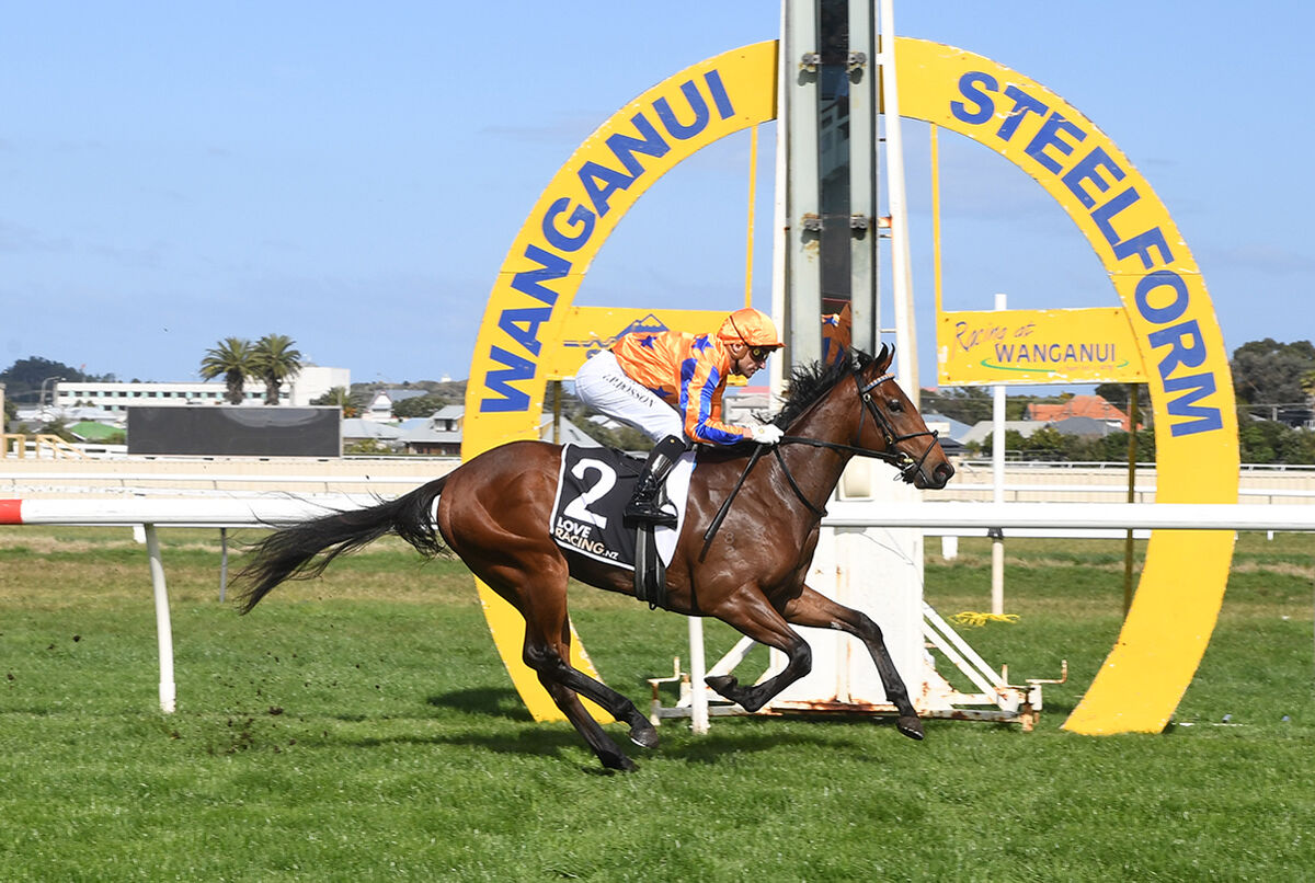 Te Akau Trans Tasman Saturday Preview