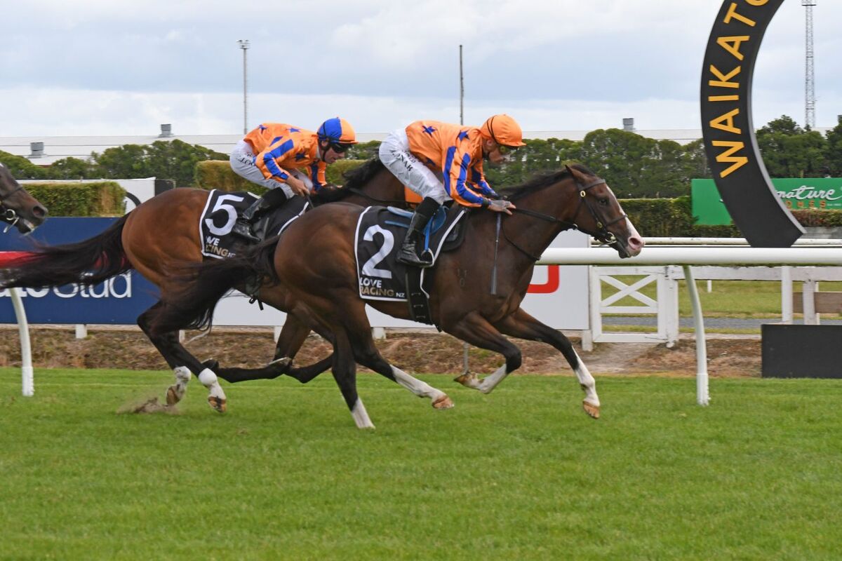 5 Win Saturday - Tokyo Tycoon & Te Akau Trifecta