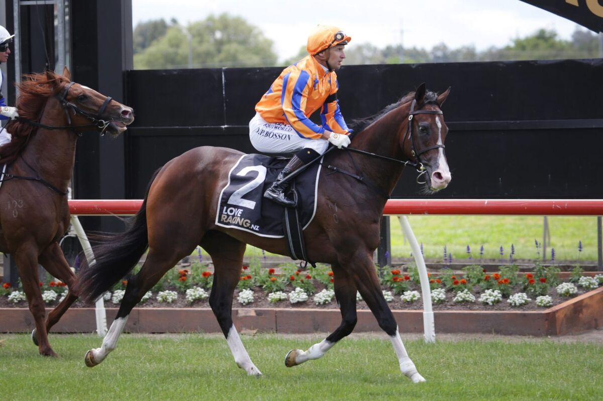 Tokyo Tycoon Returns to Racing