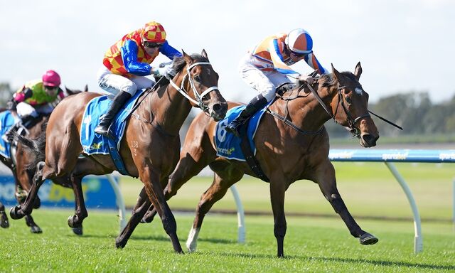 WINNER: Tolaga Bay Hangs Tough