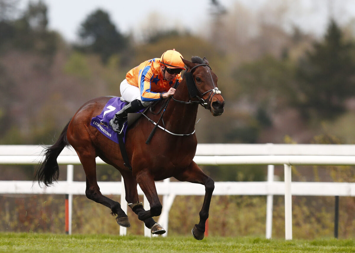 The Te Akau Tangerine Flies in Ireland