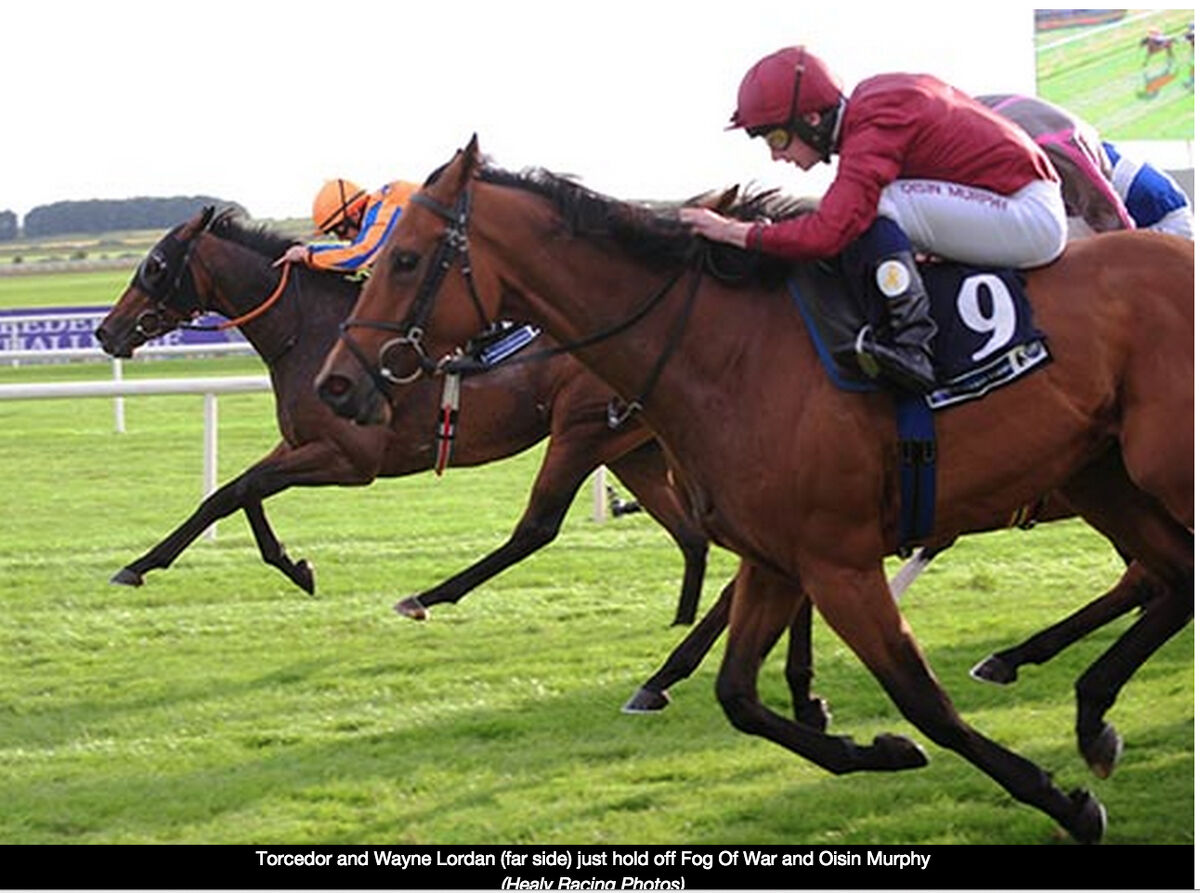 Torcedor Wins Again in Ireland
