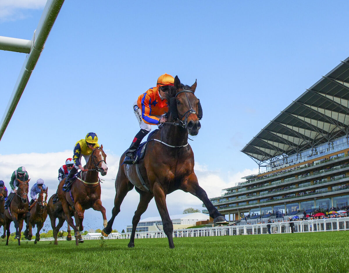 Racing Active chats to David Ellis