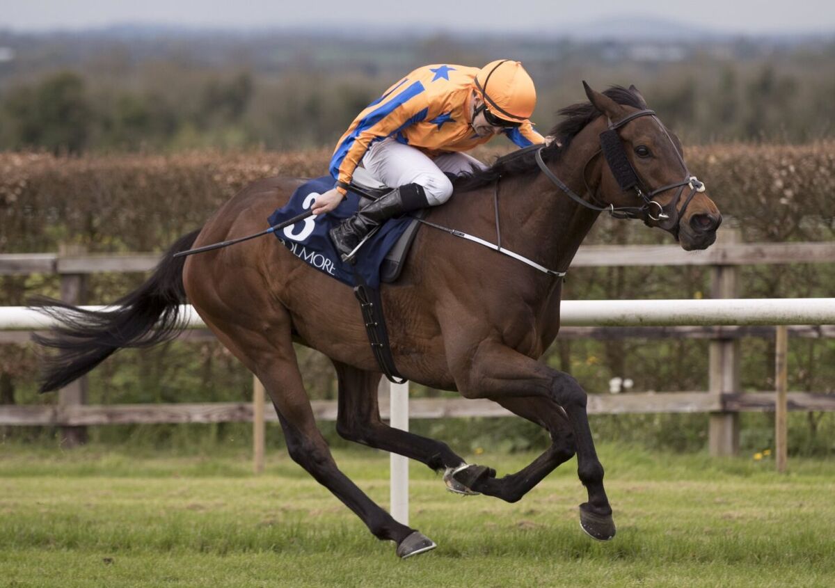 It's Royal Ascot - Gold Cup Day