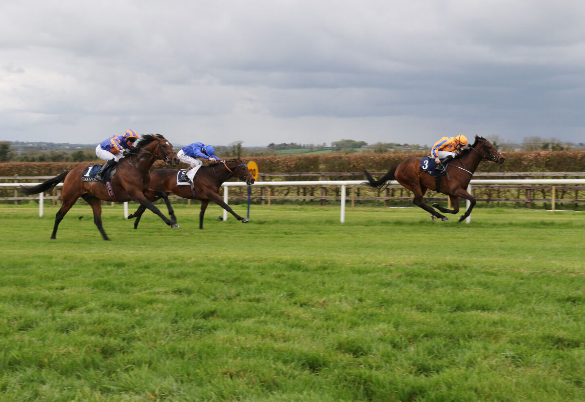 Te Akau's Torcedor Irish Group 3 Victory