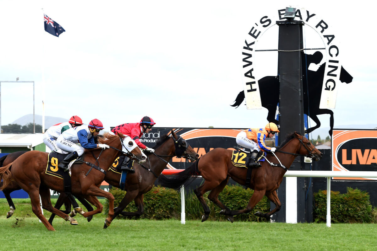 Total Excess Excellent on Debut