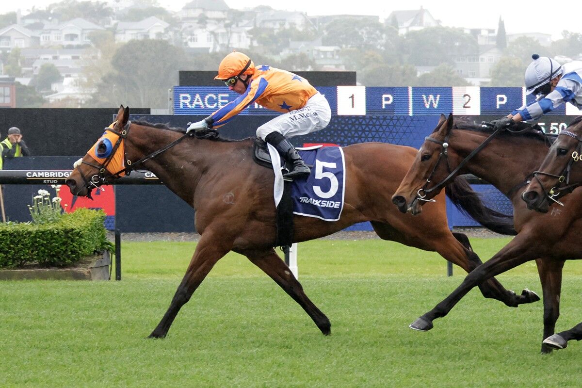 5 WIN SATURDAY: Towering Above The Opposition