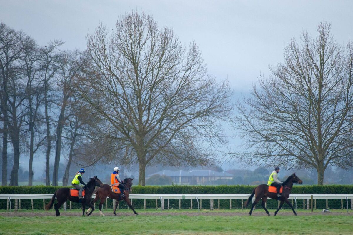 Te Akau Weekend Trackwork