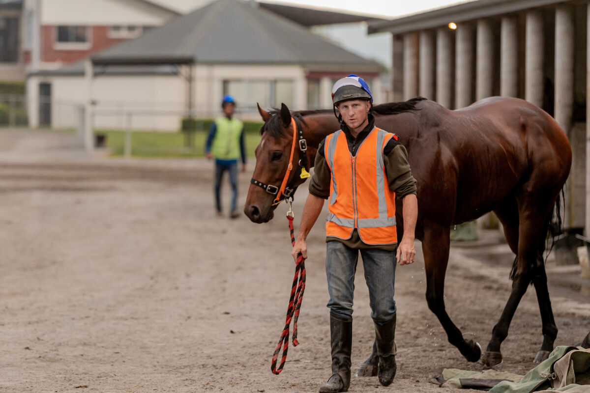 Te Akau Weekend Trackwork