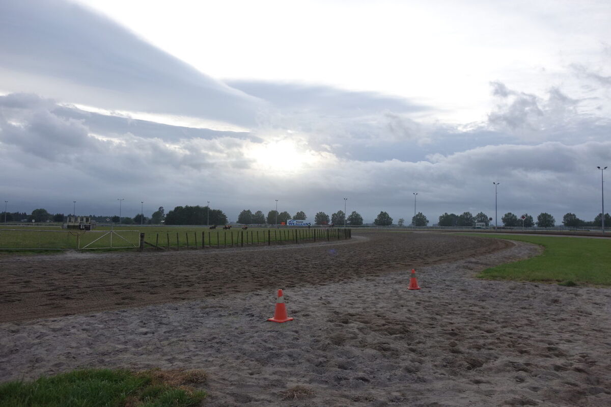 Te Akau Tuesday Trackwork