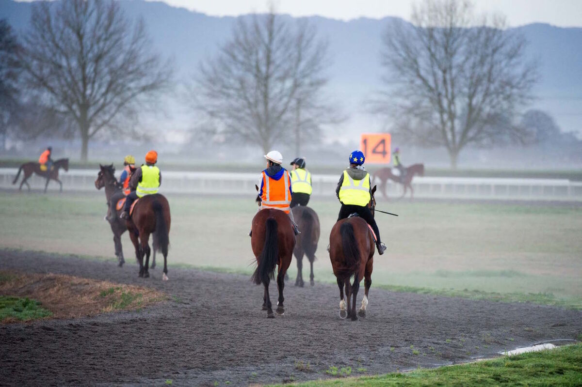 Te Akau Weekend Trackwork