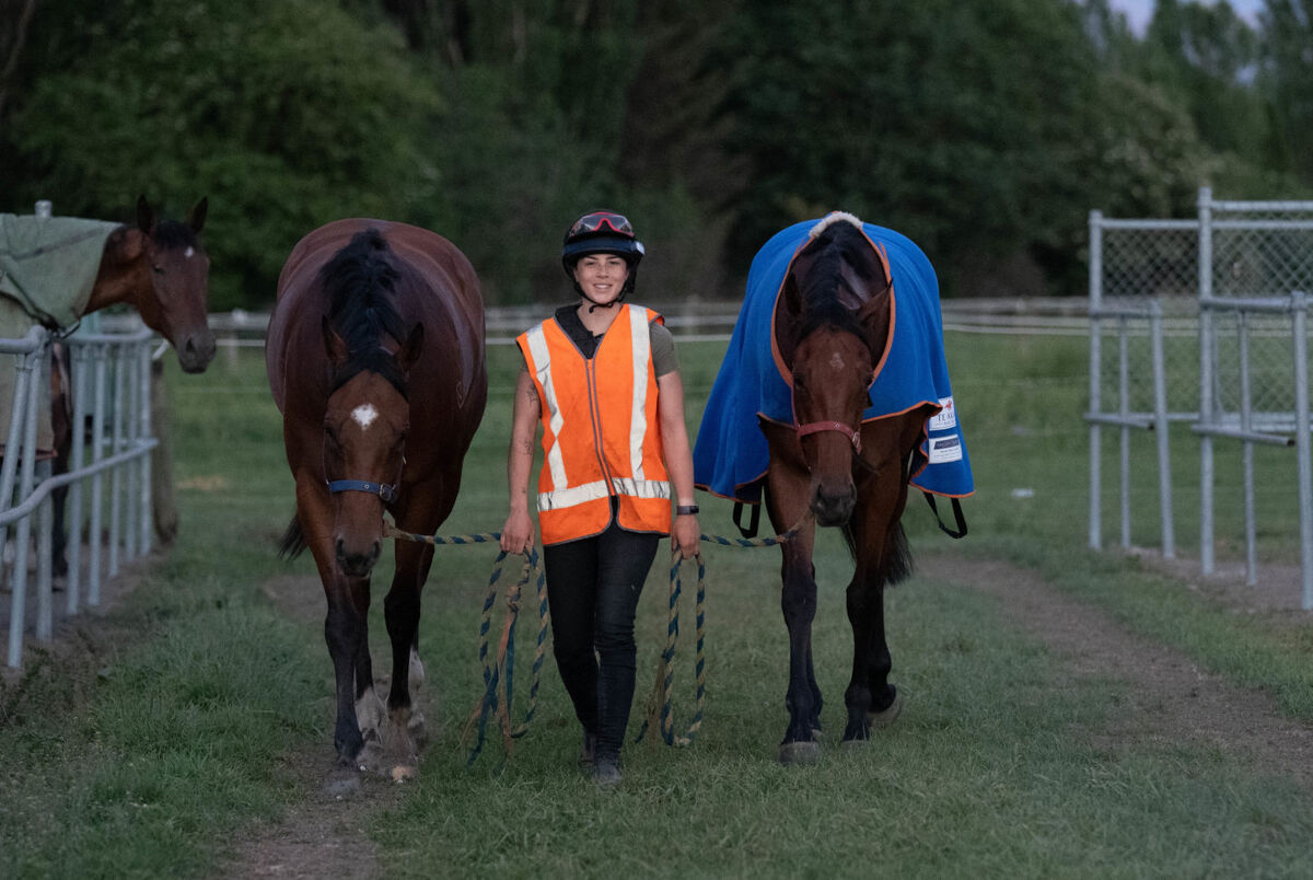 Te Akau Thursday Trackwork