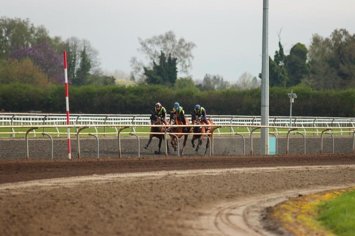 Te Akau Tuesday Trackwork